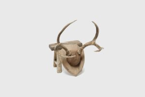 Taylortown Mounted Antlers