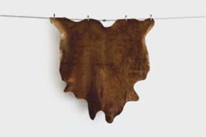 Falcon Hide