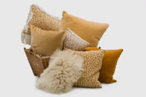 Gadsden Pillows