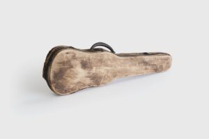 Hildebran Violin Case