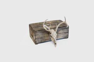 New Bern Antlers