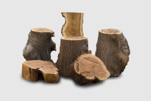 Powhatan Stumps