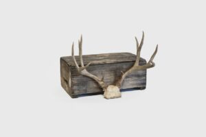 Sunbury Antlers